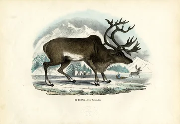 Reno, 1863-79